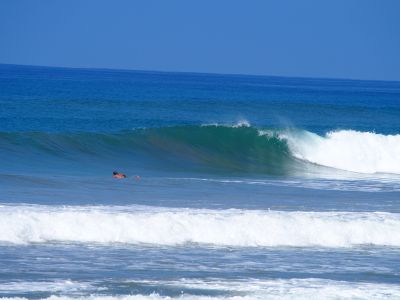 ¡Surfeando olas épicas en Santa Teresa y Malpaís!